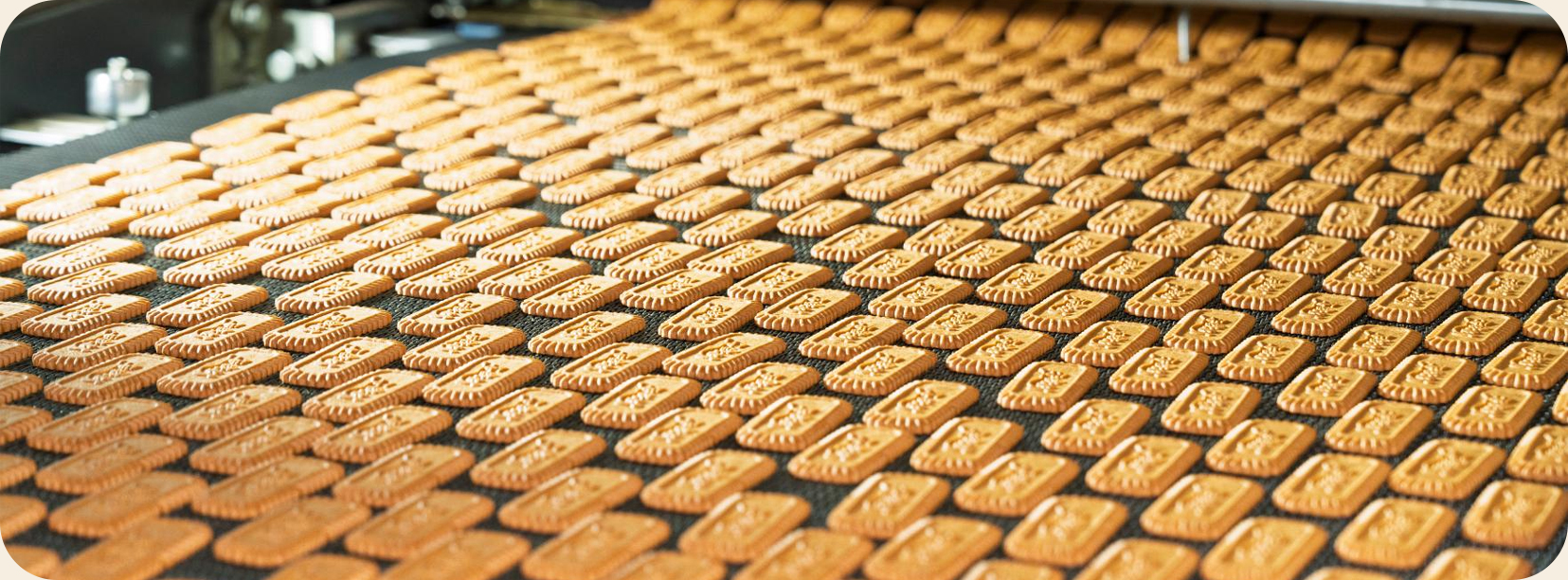 YOULEI FOOD TECHNOLOGY CO., LTD.