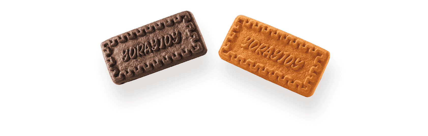 YOULEI FOOD TECHNOLOGY CO., LTD.