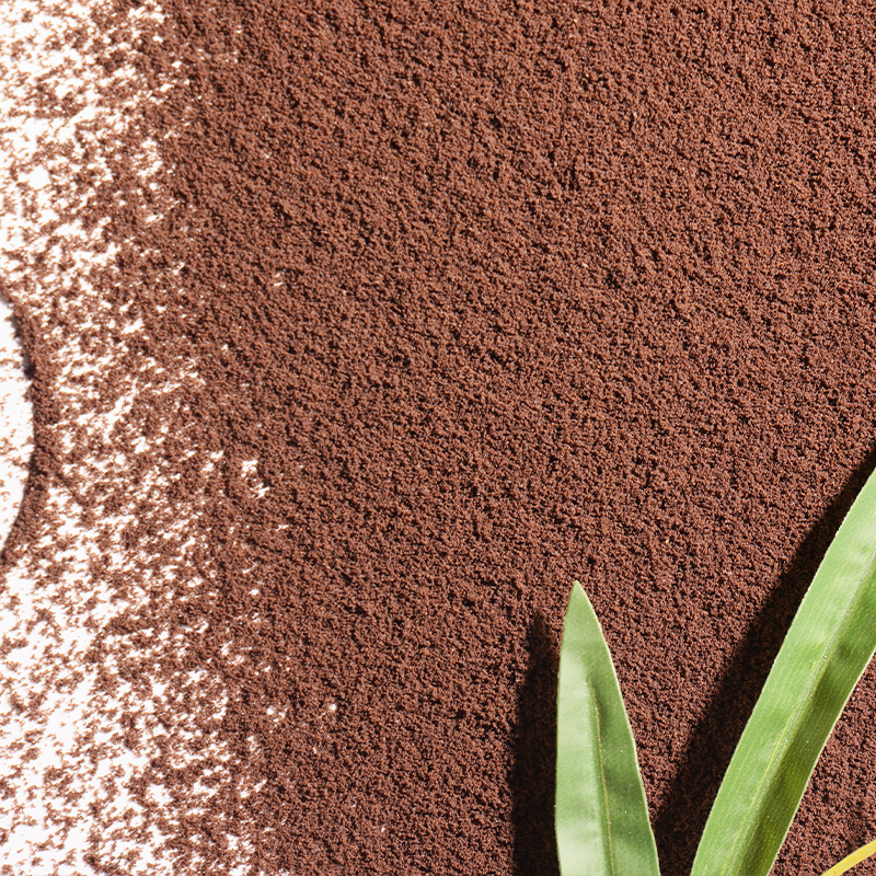 Cocoa Biscuit Powder